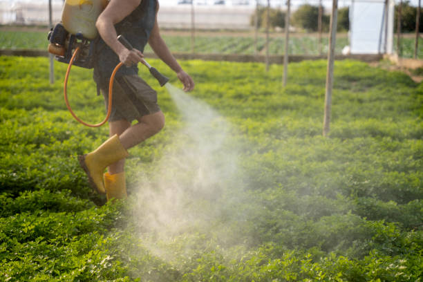 Best Mosquito Control Services  in Milford, NJ