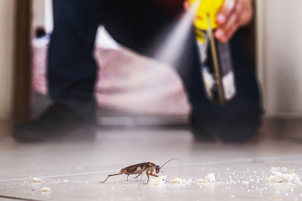 Best Affordable Pest Control Services  in Milford, NJ