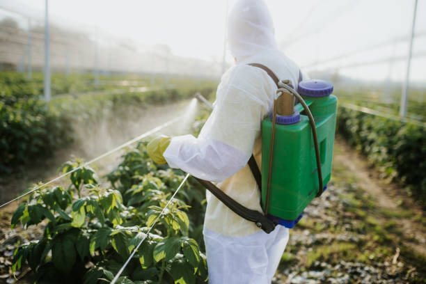Best Pest Removal Services  in Milford, NJ